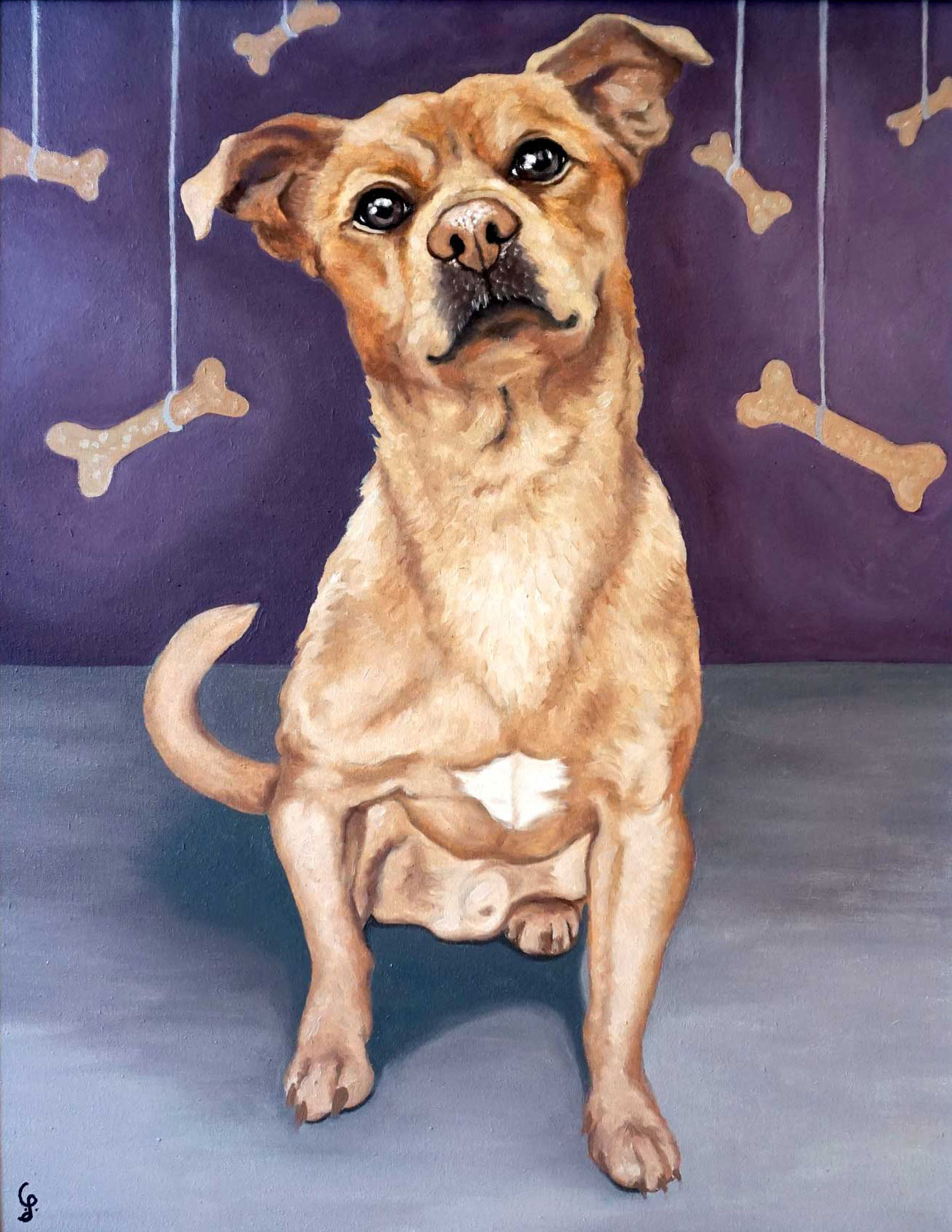 ritratti di cani