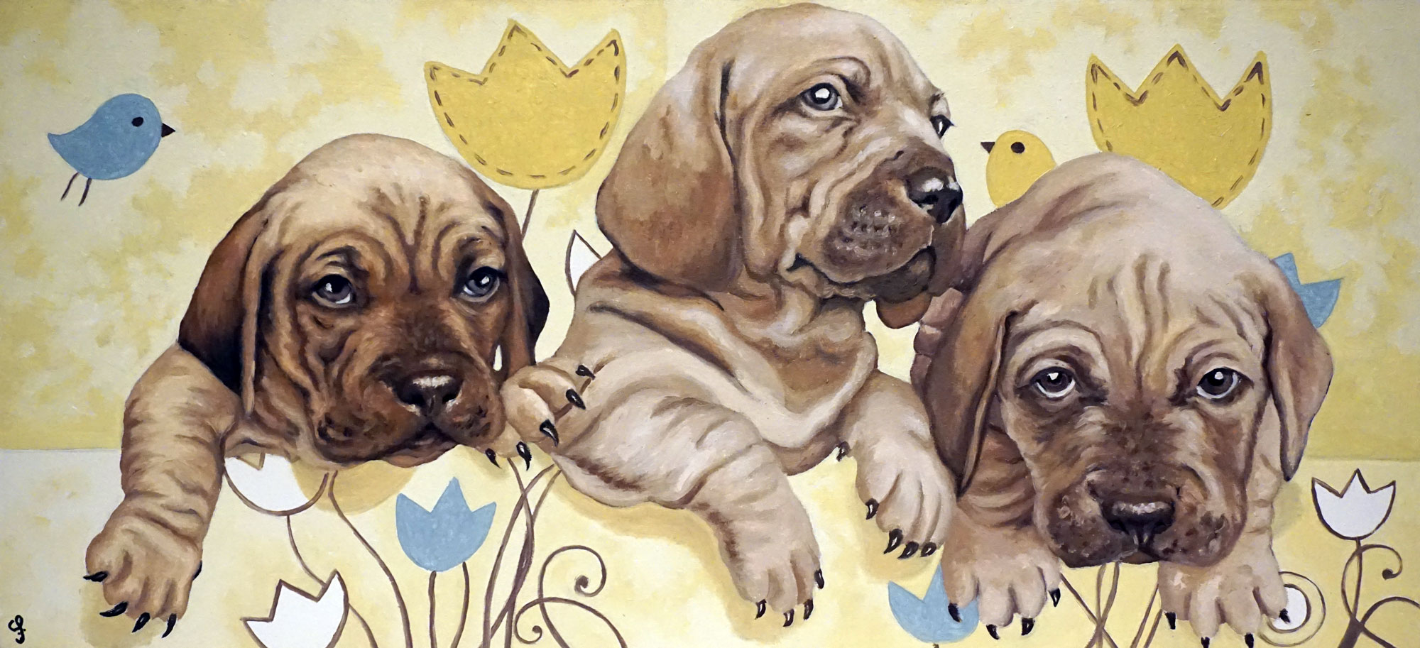 Puppies portrait