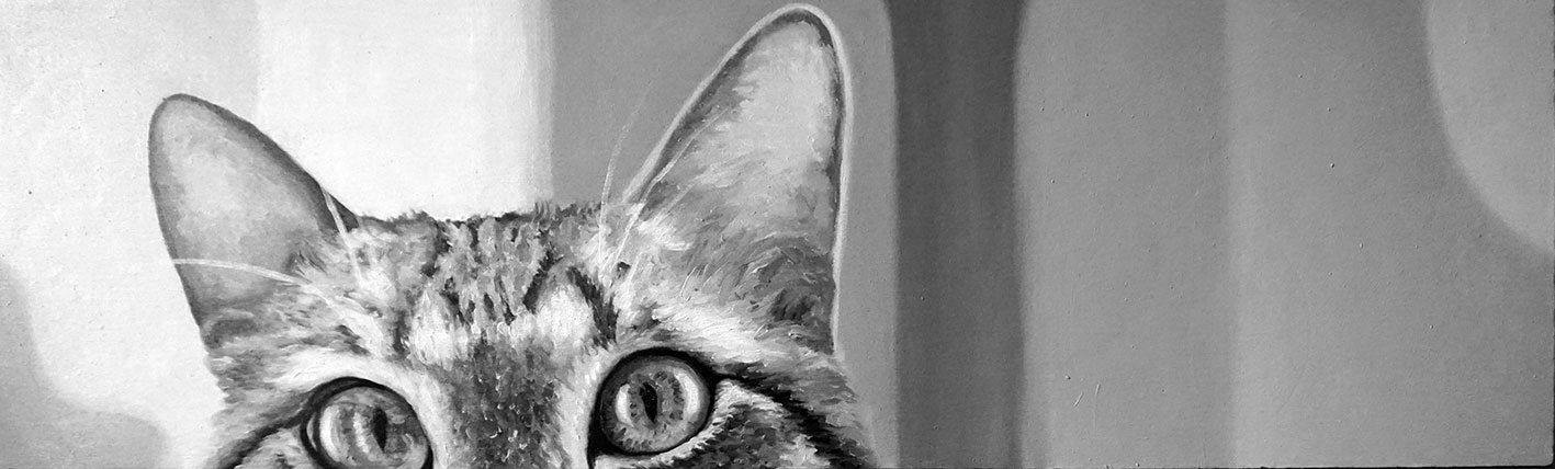 B/W cat portrait